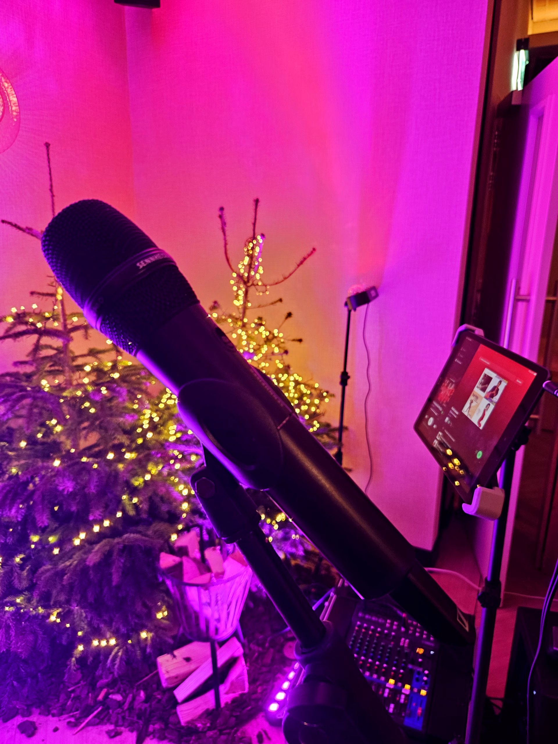 Microfoon, kerstboom en sfeerverlichting voor live muziek